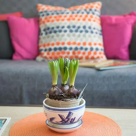 Au D'isigny - Maison De - Normandie Isigny-sur-Mer