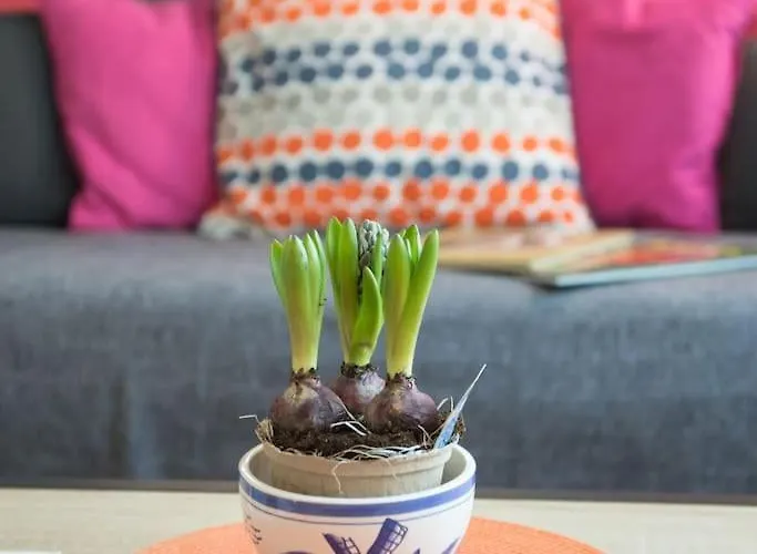 Au D'isigny - Maison De - Normandie Isigny-sur-Mer